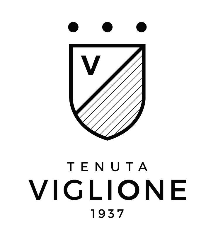 Tenuta Viglione Logo