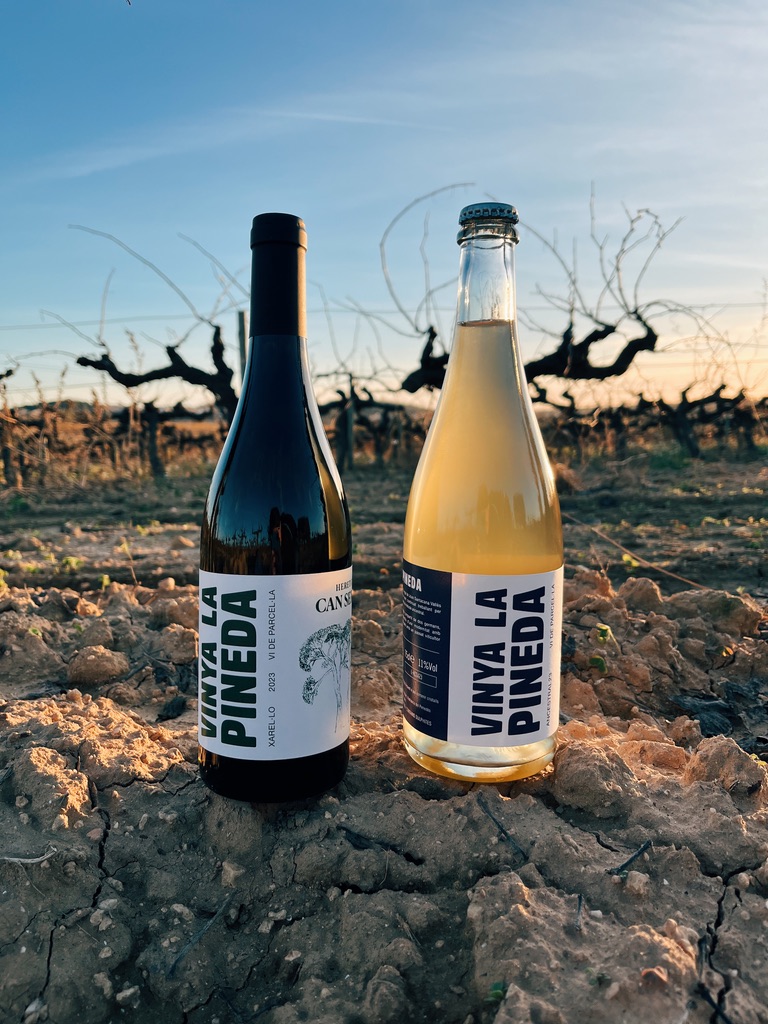 heretat can serra bottles