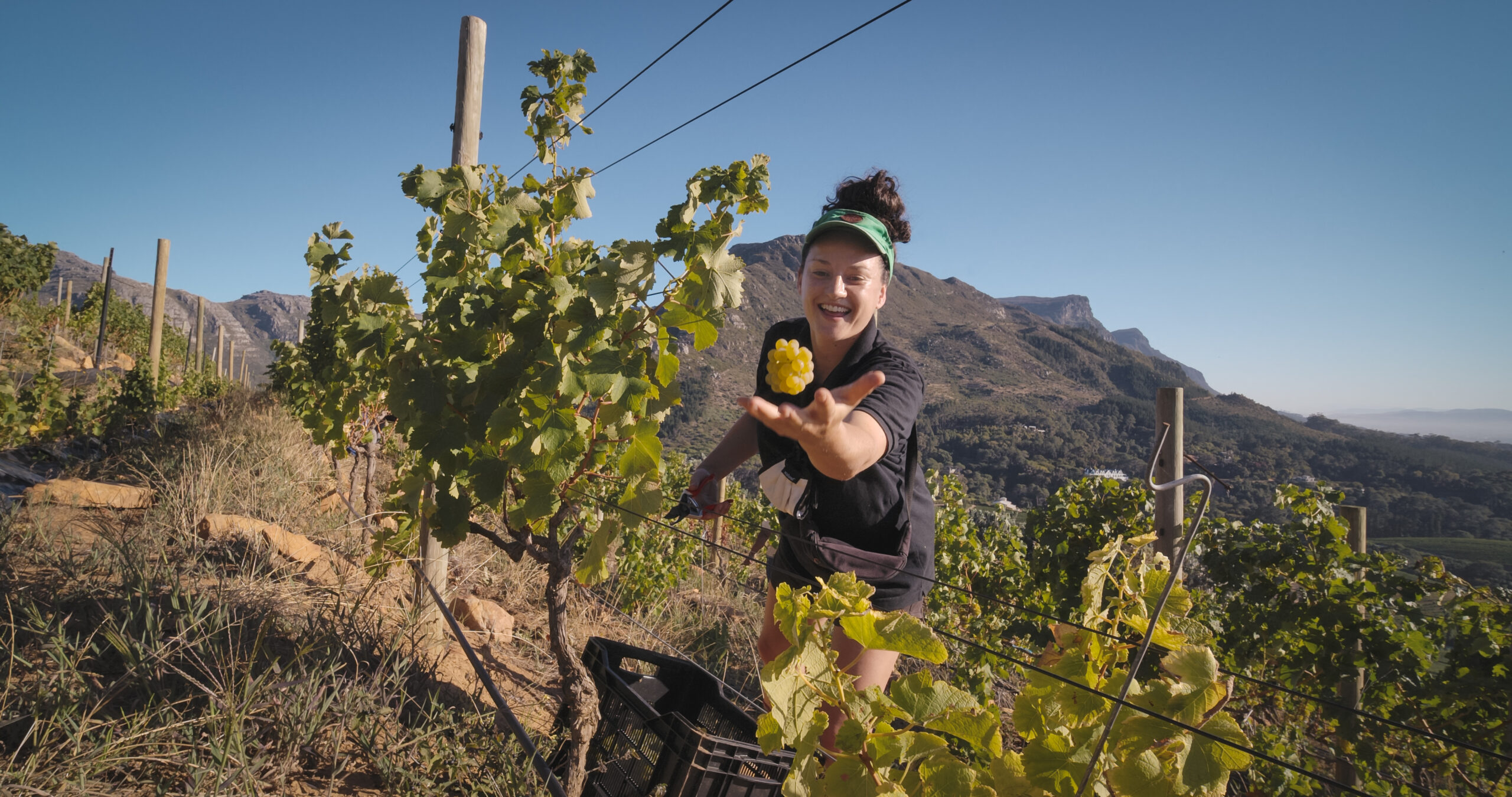 Beau Constantia Owner