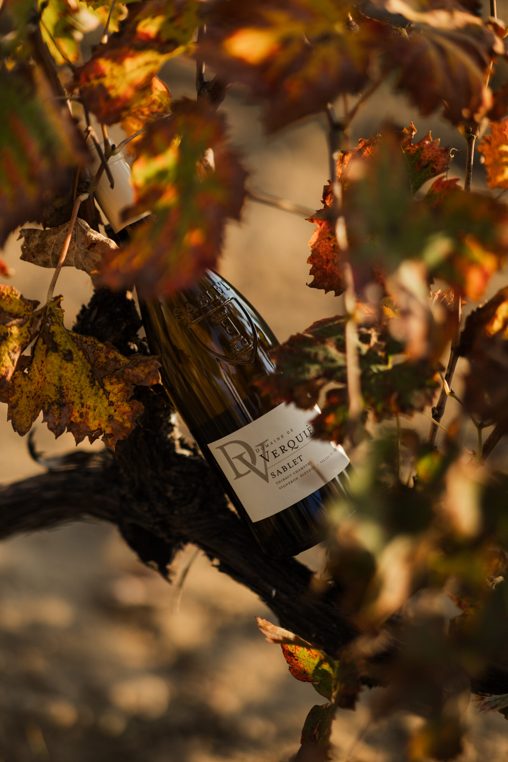 Domaine de Verquiere Bottle