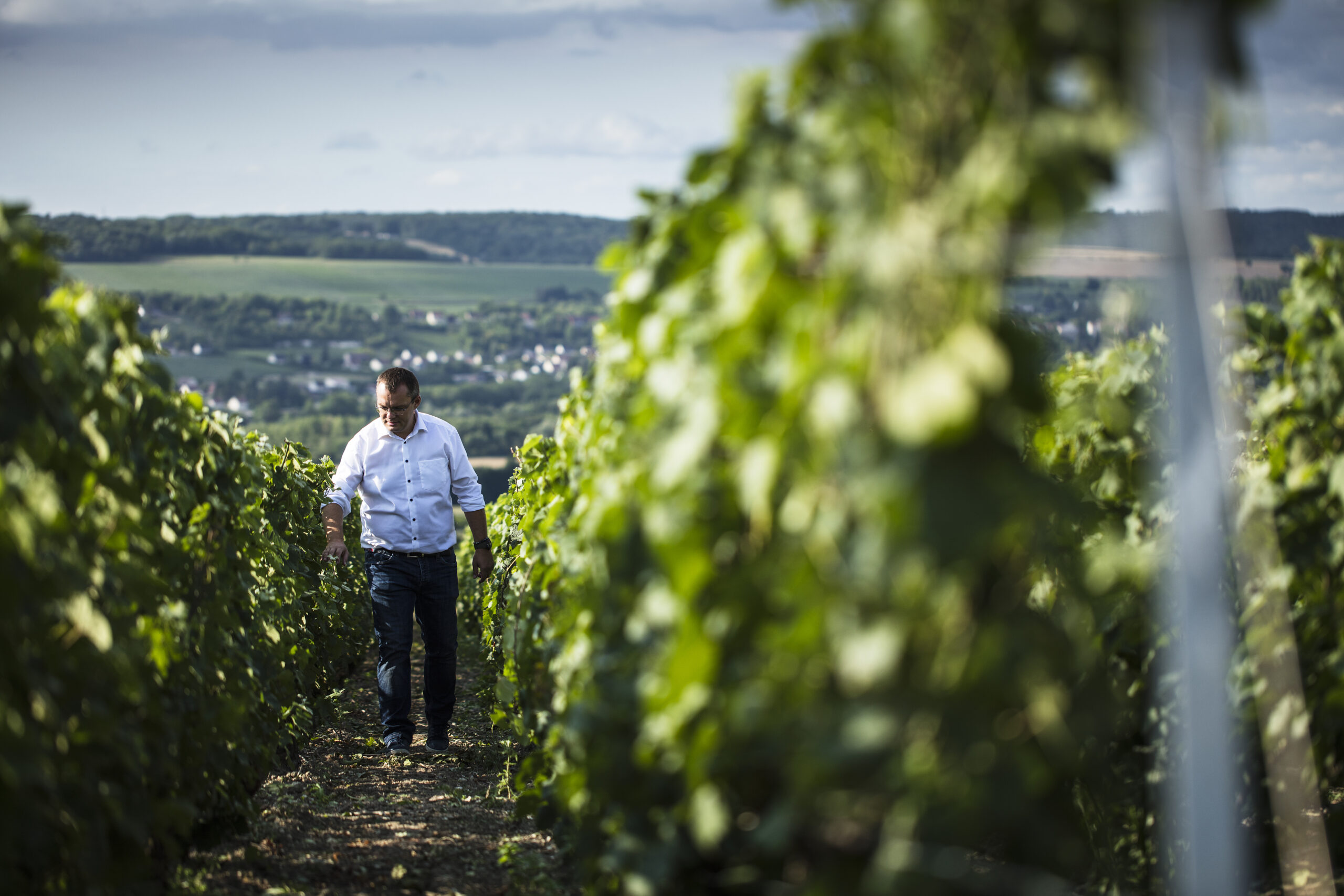 Champagne Benoît Déhu Owner 2