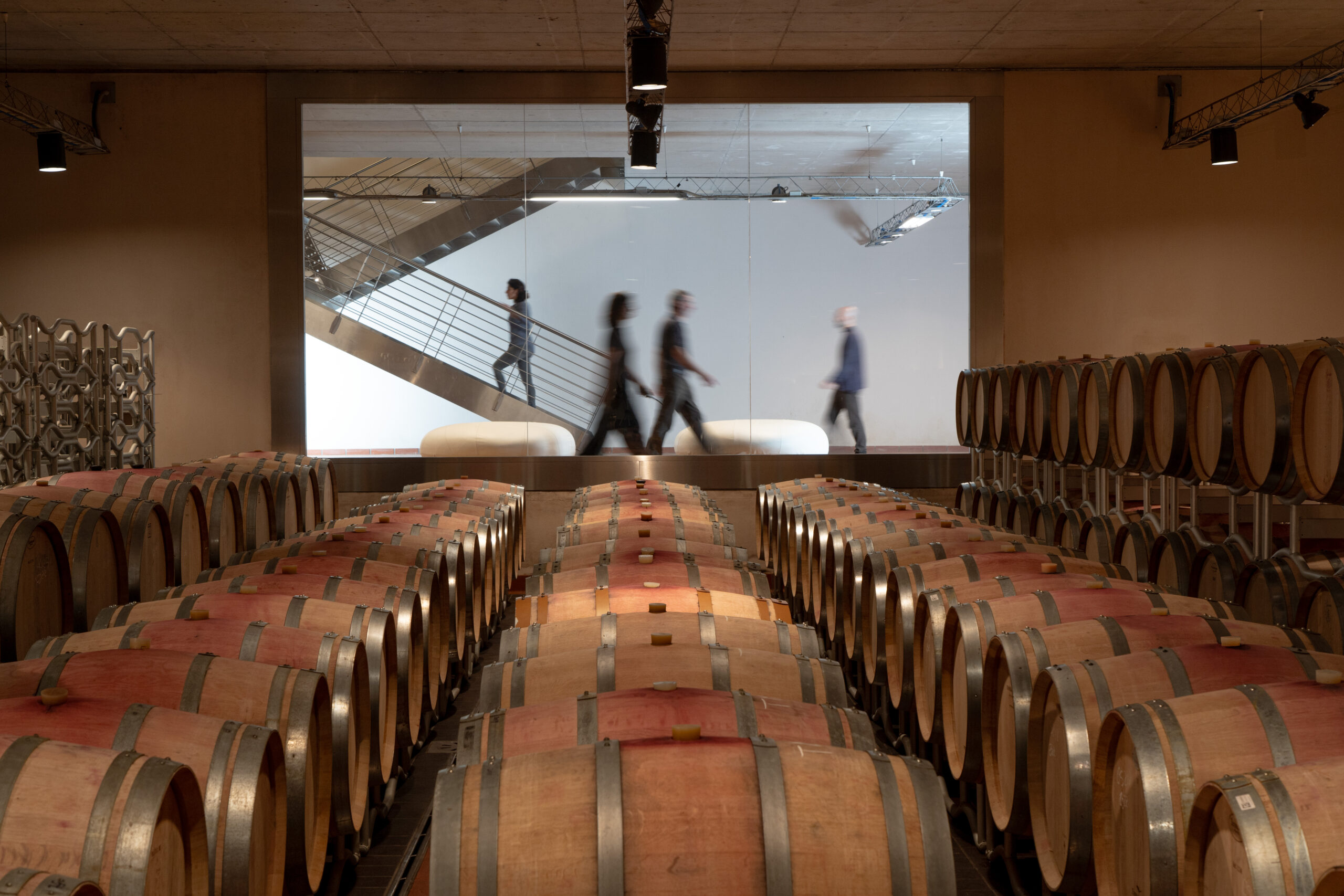 Tenuta Monteti barrels